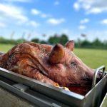 Hog Roast Melton Mowbray